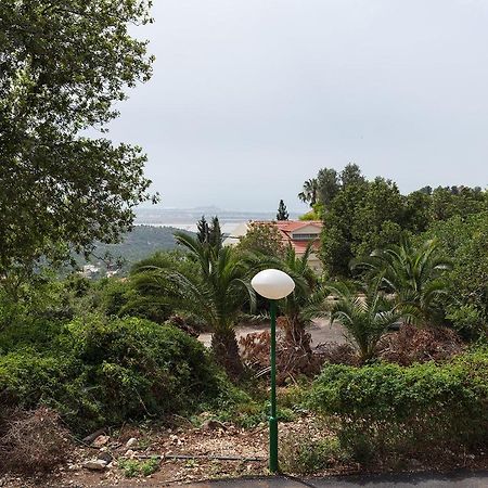 Nir Etzion Resort Ein Hod ภายนอก รูปภาพ